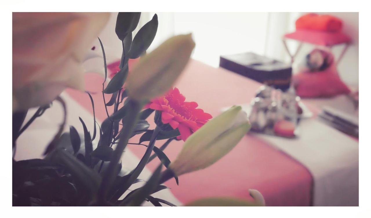 B&B Dolce Olga ペスキエーラ・デル・ガルダ エクステリア 写真